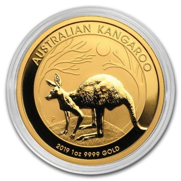 1 Oz Gold Coin 2019 Australia Gold Kangaroo BU - Image 3
